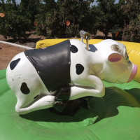 Captura de pantalla 2025-01-22 a las 16.39.52